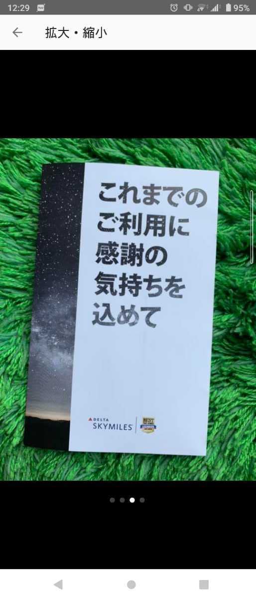 Amazon.co.jp: デルタ航空 上級会員 プラチナメダリオンの手荷物