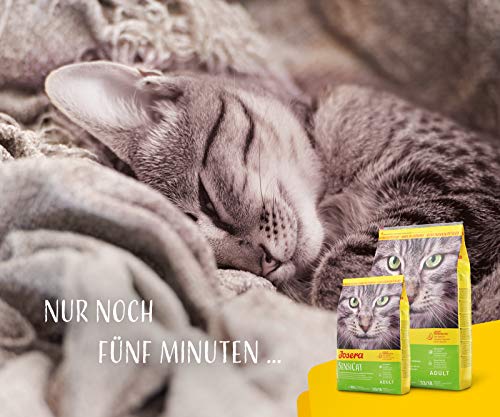 JOSERA SensiCat (1 x 400 g) | Adult | Premium Trockenfutter für ausgewachsene empfindliche Katzen | Geflügel & Reis | extra verträgliche Rezeptur | weizenfrei | Katzenfutter | 1er Pack