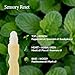 Sonc Botanical Aroma Oil Roll‑On 002 Out of Office | Portable Soothing Aromatherapy & K‑Beauty Wellness Ritual | Natural Roll‑On Blend for Stress Relief & Daily Calm