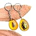 18 pcs Insect Amber Fossils, BOSOIRSOU Fossil Pendants, Different Insect Specimen, Bug Preserved in Resin, Educational and Scientific Amber Collections - Random Patterns