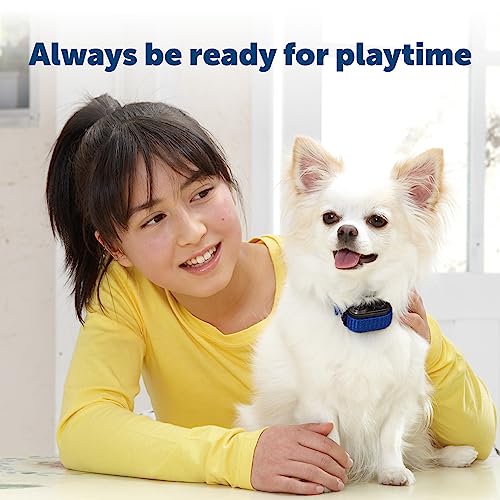 petsafe module pile au lithium 3 volts multicolor