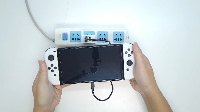 Amazon.com: ECHZOVE Charger Compatible with Nintendo Switch