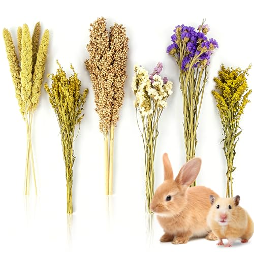 Sukh Natural Hamster Bedding Sprays - Foraging Habitat Decor Cage Accessories Hideout Enrichment for Dwarf & Syrian Hamsters Gerbils Mice and Other Small Animals