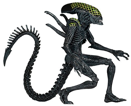 Preisvergleich Produktbild Alien: Alien vs Predator Actionfigur Serie 7 Grid Alien NECA