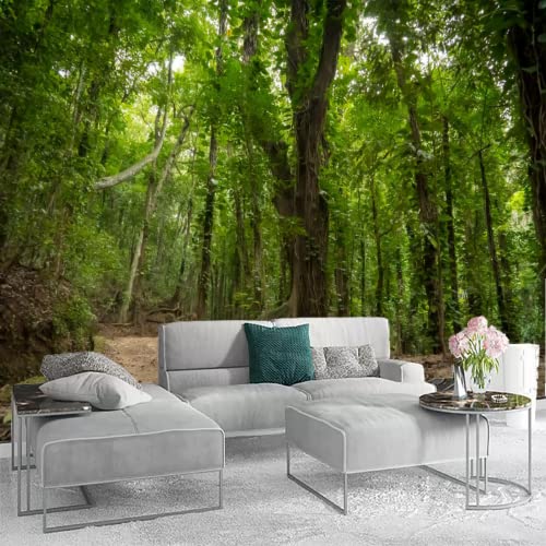 Attafe Mysterious Jungle Trek 3D Mural Wallpaper, Rainforest Wide Angle View Photo Mural Wallpapers, Mural Hd Photo For Living Room Tv Sofa Bedroom 98" By 69" #TOP1