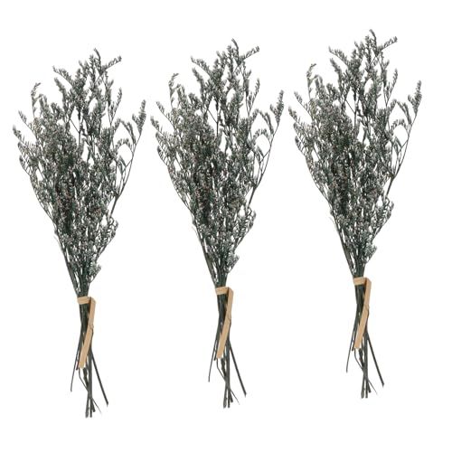 Ramo de flores secas Gypsophila para decoración