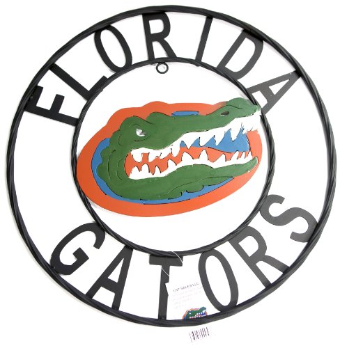 LRT SALES LLC NCAA Florida Gators Collegiate Wrought Iron Wall Decor, Black/Orange and Blue, 23-Inch
