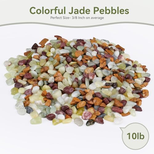 Image of Pulovin 10 lbs Pebbles for Indoor Plants, Succulent Rocks, 3 /8 inch Polished Pebbles for Bamboo, Vase, Terrarium, Natural Decorative Small River Rocks for Crafts, Cactus, Outdoor Garden Landscaping