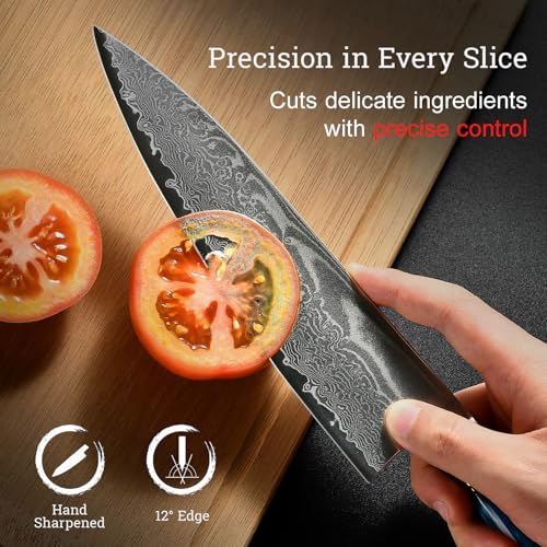 Image of Japanese Chef Knife Set 3 Pcs, 67-Layer Damascus Kitchen Knife Set with VG10 Steel Core, Professional Sharp Damascus Knives with Ocean-Blue Ergonomic Handle, Include Elegant Cooking Gifts Box