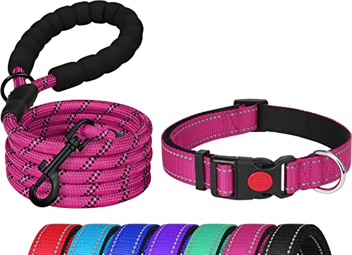 Erbine Dog Collar And Leash Set, Reflective Dog Collars With Safety Locking Buckle, 6Ft Heavy Duty Matching Dog Leash, 7 Colors And 4 Sizes For Medium Dogs, Hot Pink #TOP4