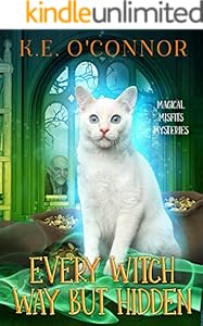 Every Witch Way but Hidden (Magical Misfits Mysteries Book 5)