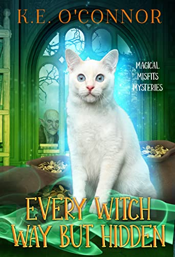 Every Witch Way but Hidden (Magical Misfits Mysteries Book 5) eBook : O