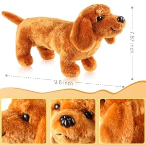 Dachshund dog plush stuffed animal plush sausage dog plush soft 3d pom plush for girls birthday xmas bedtime gift bed rest chair bolster nursery decorationtan   cucciolini doodles