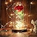 Produktbild FunPa Rose im Glas, Ewige Rose im Glas Schöne und das Biest LED Künstliche Rose Blumen Konservierte Rose LED Lichterketten Romantisch Geschenk zum Geburtstag Jahrestag Haus Weihnachten Dekoration