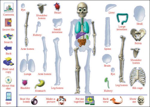 My Amazing Human Body 1.2 #TOP1