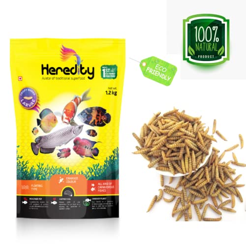 Image of VAYINATO Adult Heredity Dried Black Soldier Fly Larvae (2400+) for Aquarium Fish, Birds and Reptiles - 200G (Buy 1 Get 1 Free)