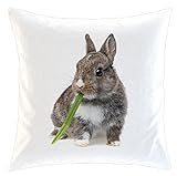 Merchandise for Fans