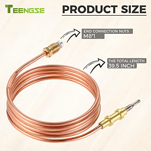 39.5 Gas Thermocouple Replacement, Gas Fireplace