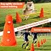 Imagen de TECKZOON Agility Set para perros y niños