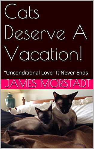 Cats Deserve A Vacation!: "Unconditional Love" It Never Ends