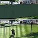 COARBOR 6' x 50' Privacy Fence Screen Heavy Duty Windscreen Fencing Mesh Shade Net Cover for Outdoor Wall Backyard Patio Deck and Porch, Green
