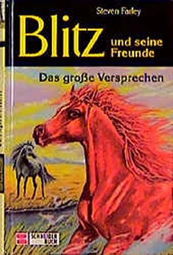 Preisvergleich Produktbild Blitz und seine Freunde, Bd.1, Das große Versprechen