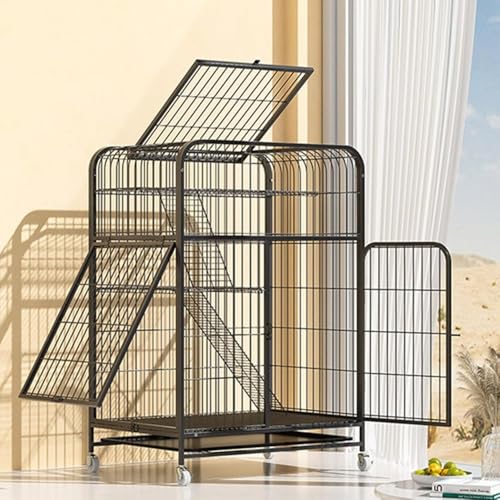 LAJOKING LP[WAybgP[WAwASt[\Åpǃt[Aۂ݂ттp̃fUCA]zC[tA^тɕ֗Ȑ܂肽ݎAgݗĊȒPAňA̔LɓKĂALXƂĂAEh~AQArO[A