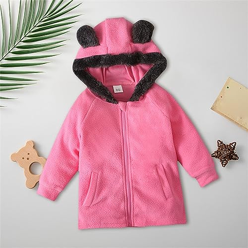 Children's Coat Autumn and Winter Solid Color Hooded Zipper Thickened Cute Cartoon Teddy Bear Plush Outerwear2