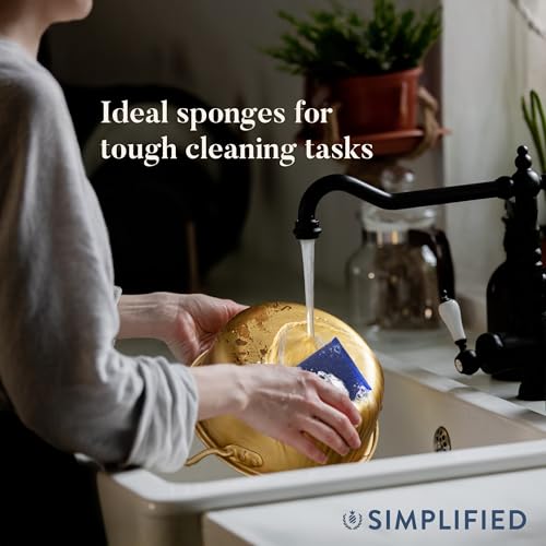 Image of Simplified 6-Pack Steel Scouring Sponges with Rust Resistant Stainless Steel Threading for Home and Kitchen Cleaning Supplies, Heavy Duty Cleaning Sponge for Kitchen & Bathroom, Blue /Green