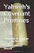 Yahweh's Covenant Promises: Promises to Stand on For Victory