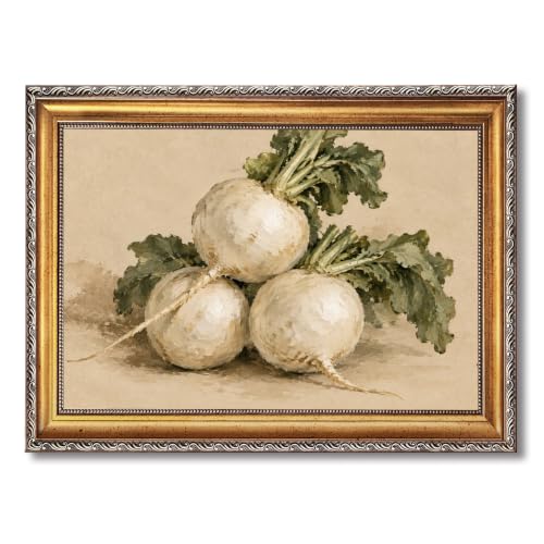 Still Life Vegetable Wall Art, Gold Framed Canvas Print of White Turnips