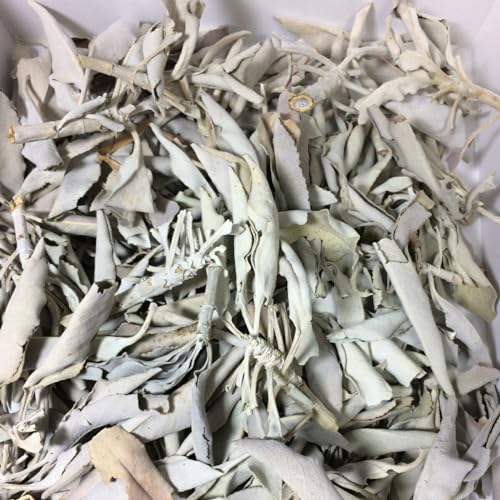 Beaut 򉻗p zCgZ[W I Bi AEgbg YnؖL JtHjAY NX^[^Cv 100g