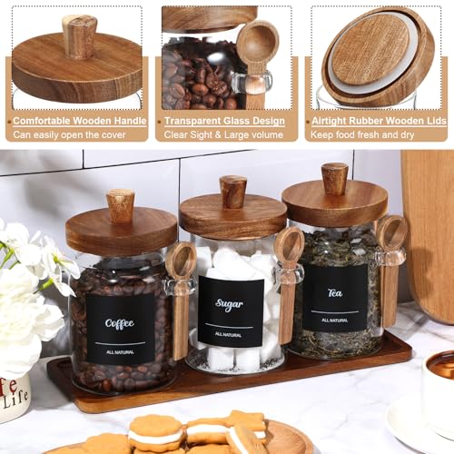 Image of Suclain 3 Pcs Glass Coffee Container Set, 20 oz, Acacia Brown