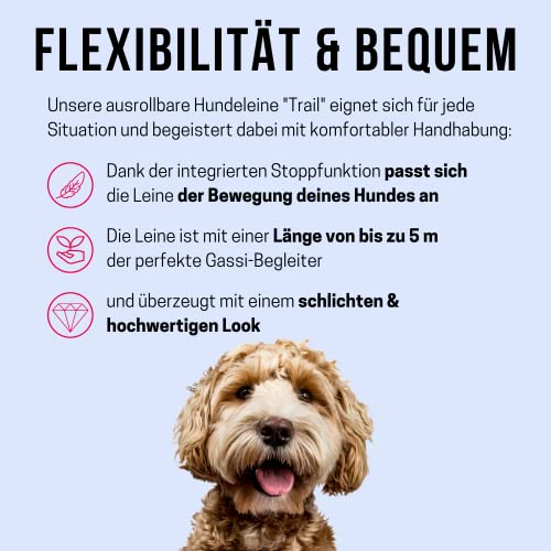 Collares Y Correas, Pet Products Imagen adicional