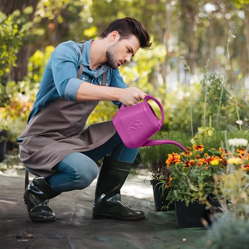 Image of Plastic Watering Can - for Home Plant Garden - 1 /2 Gallon - Rose Red