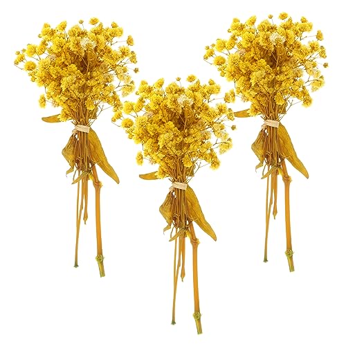 Ramo de flores secas Gypsophila para decoración 3 unidades