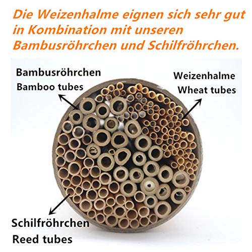 Super Idee 200 Weizenhalme füllung Nisthilfe Nisthülsen 20 cm lang für Wildbienen Insektenhotel Insektenhaus Durchmesser… – Bild 5