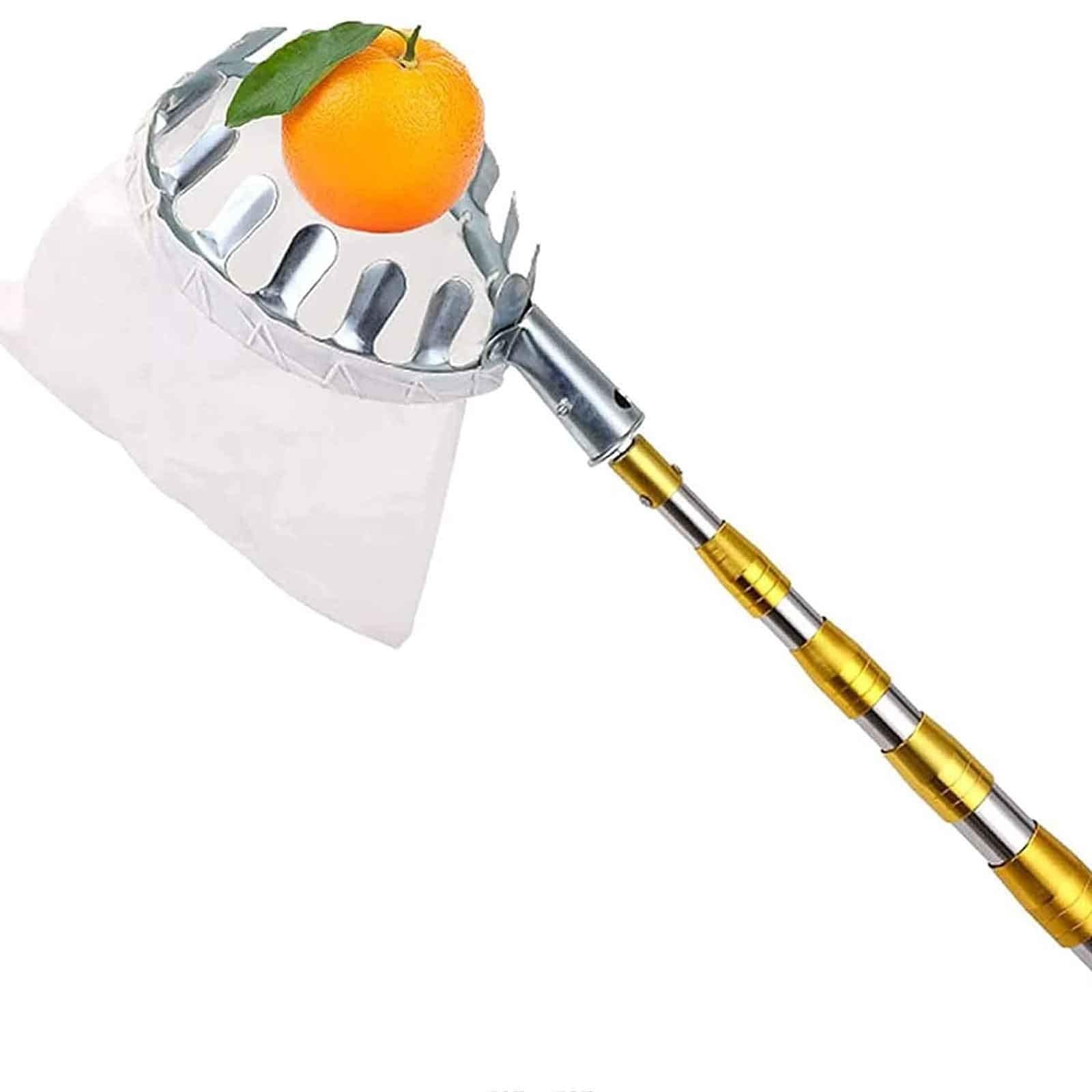 Recolector de Frutas Telescopico Extensible, 2-7M，Dientes de Calibre de Metal, Poste de Conexión de Acero Inoxidable Ligero, Recoger Frutas, Frutas Herramientas Recolectoras para Manzanas | 2m(6.6ft)