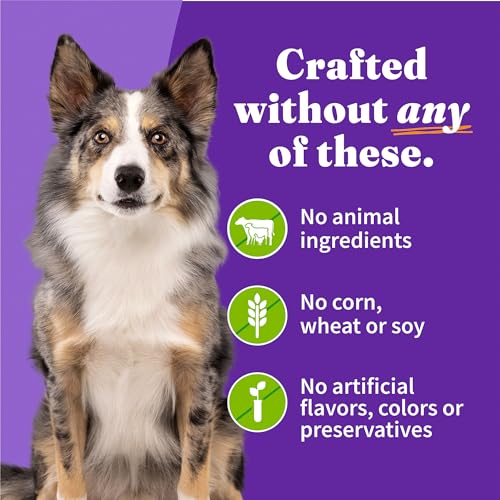 Halo Holistic Wet Dog Food, Plant-Based Recipe, Superfoods, 13 oz, 12-Pack - image 6