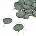 Meiliy 300pcs Bulk Eucalyptus Leaves Artificial Greenery Fake Green Leaves for DIY Wreath Wedding Boutonnieres Corsages Baby Shower Cake Flower Decorations