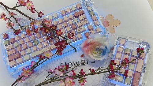 Image of Peach Blossom Keycaps Side Print Custom Cherry Profile PBT Shine Through Keycaps Pink Green 128 Keys for Mechanical Keyboards 60% 65% 75% Backlit Key Caps