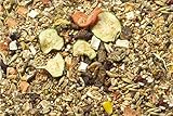 JR Farm Food Rennmaus Adult 500g