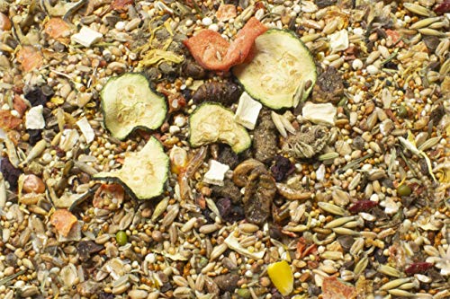 JR Farm Food Rennmaus Adult 500g