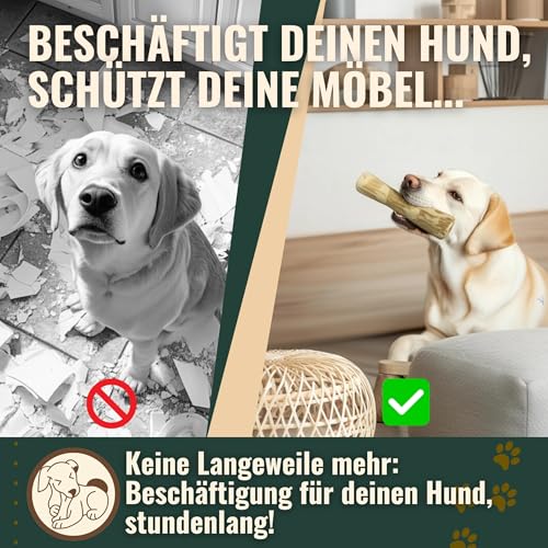 DENIPET® Kaffeeholz für Hunde & Welpen - Kauholz für Hunde, nachhaltiges Kauspielzeug Hund, robuster Kauknochen zur Zahnpflege, Hundespielzeug und Beschäftigung, Ideal als Welpenspielzeug, Größe M