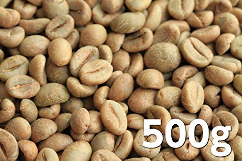 【コーヒー生豆】ベトナムロブスタ フルウォッシュド フューチャーファーム 500g シングルオリジン ファインロブスタ