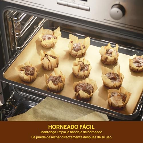 Lista de Papel pergamino los más recomendados. 14 Imagen adicional