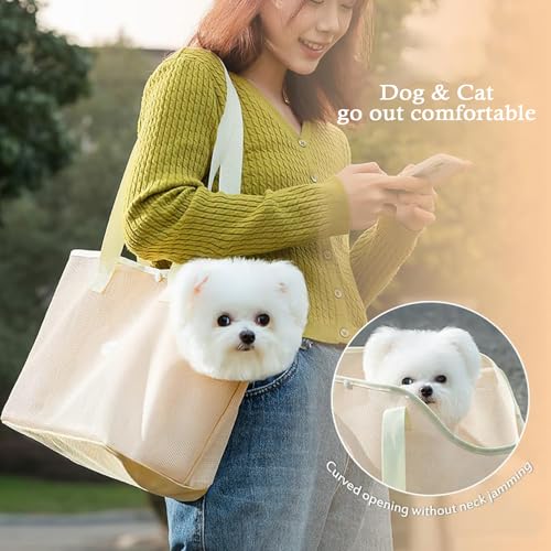 Hundetasche für Kleine Hunde Katze, Sommer Atmungsaktiv Netz Strand Tasche Hund Haustiere Carrier Soft Sided Zusammenklappbar Outdoor Travel Puppy (Grün, M)
