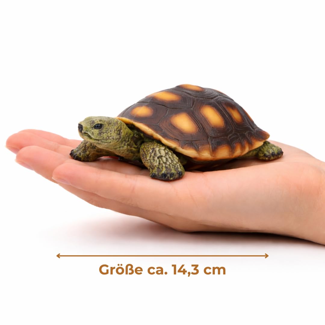 Petite figurine de jardin tortue – Décoration de jardin en polyrésine pour jardin, terrasse et balcon – Résistante au gel et aux UV – Figurine animale pour l'intérieur et l'extérieur