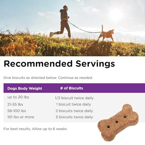 Nutri-Vet Immune & Digestive Health Biscuits, Probiotics, Dog Treat, Immune Health, Gut Health, Small Sized Biscuits, Prebiotic & Postbiotic Dog Treat, Puppy Essentials, 16 oz Bag - Image 6