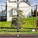 CHYLMAPHEN Basketball Rebounder Nets – Rebounding Net for Outdoor + Driveway Basketball Hoops for Baseball, Softball, Lacrosse, Soccer, Basketba